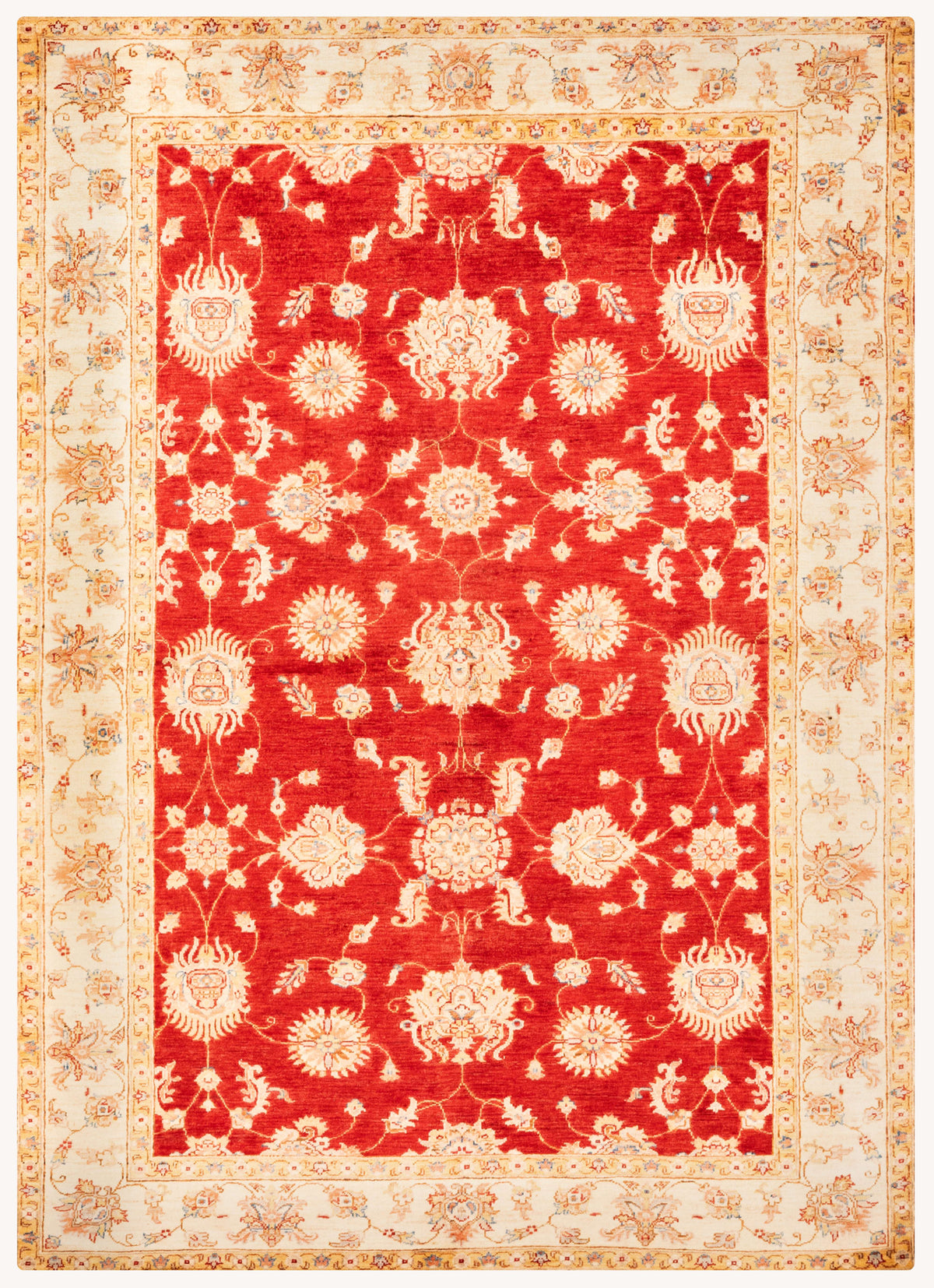 Farhan Hand-Knotted Wool Area Rug in Crimson Red, 7'11 x 5'8
