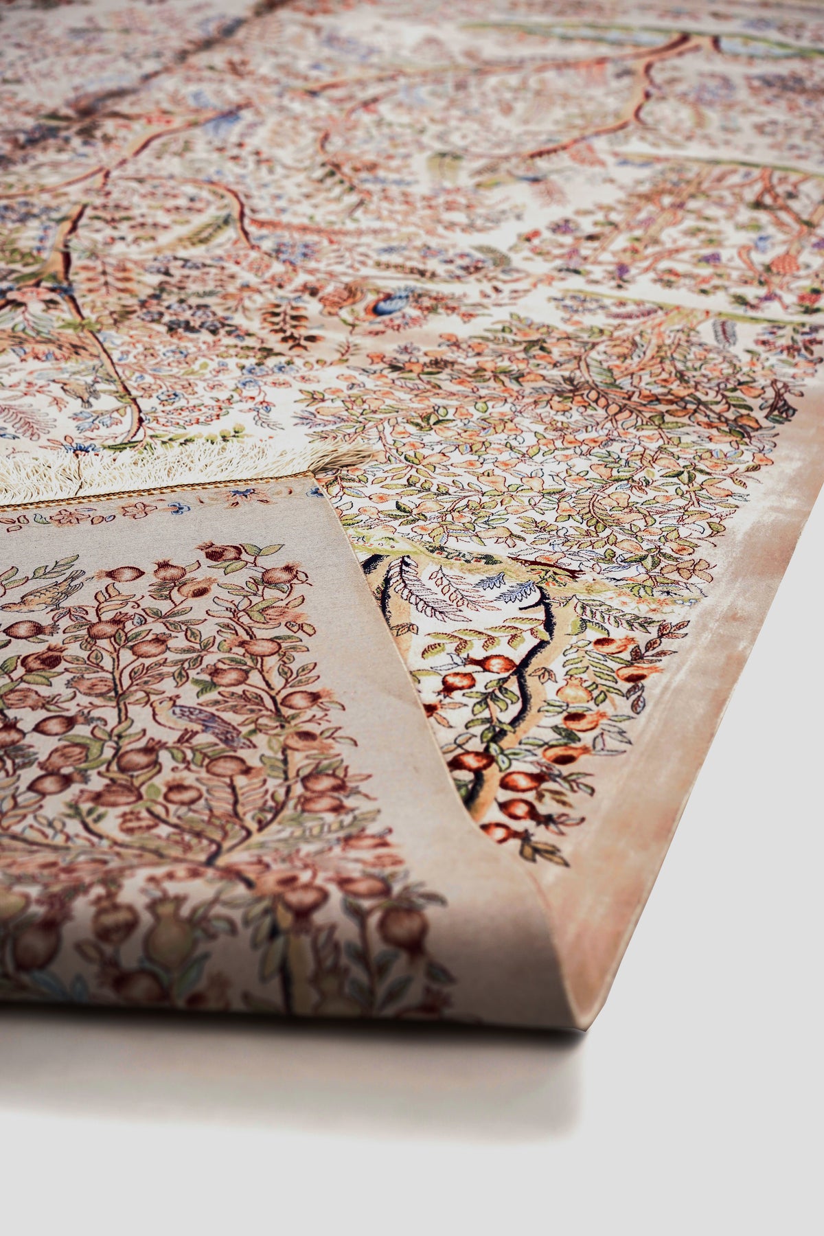 Turkish Silky-40029